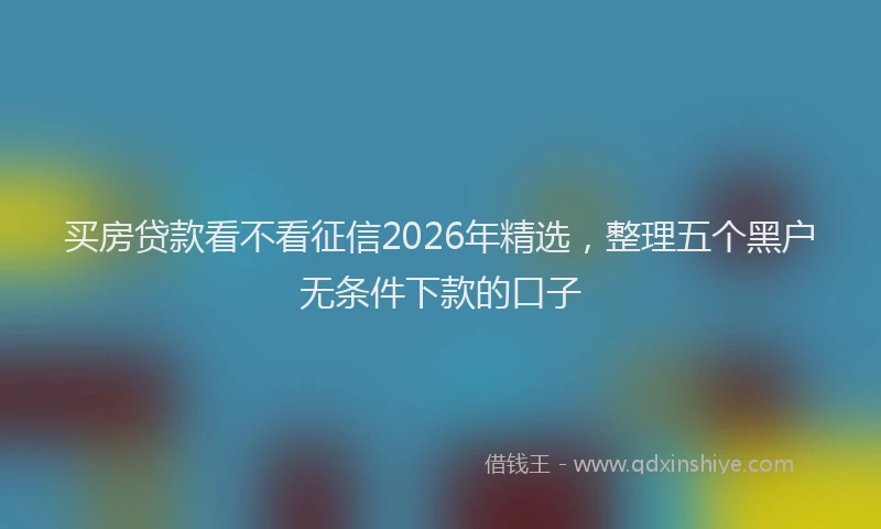 买房贷款看不看征信2026年精选，整理五个黑户无条件下款的口子