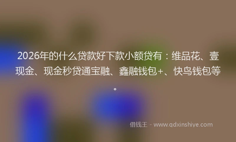 2026年的什么贷款好下款小额贷有：维品花、壹现金、现金秒贷通宝融、鑫融钱包+、快鸟钱包等。