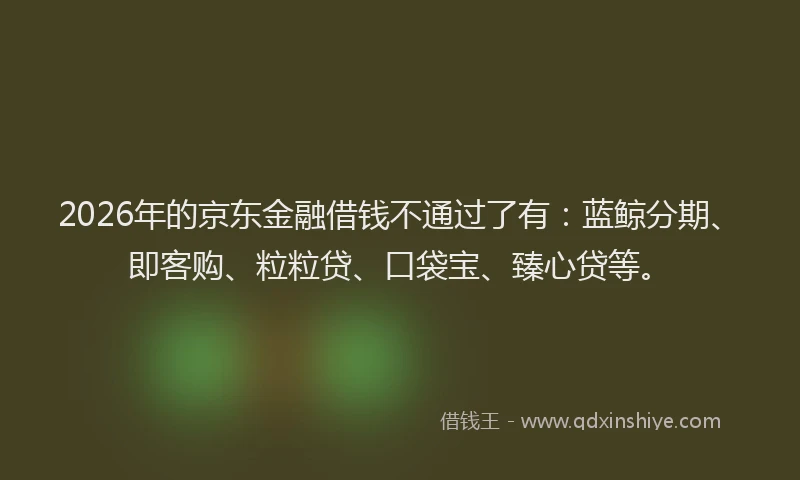 2026年的京东金融借钱不通过了有：蓝鲸分期、即客购、粒粒贷、口袋宝、臻心贷等。