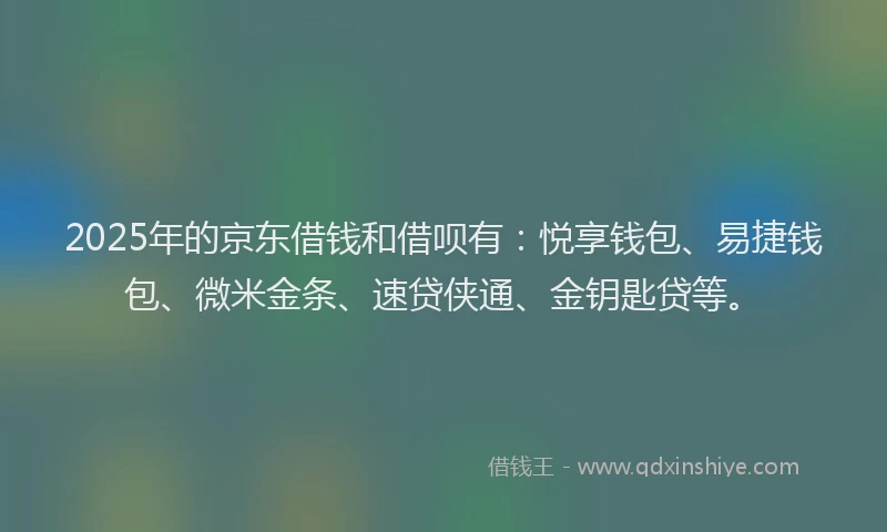 2025年的京东借钱和借呗有：悦享钱包、易捷钱包、微米金条、速贷侠通、金钥匙贷等。