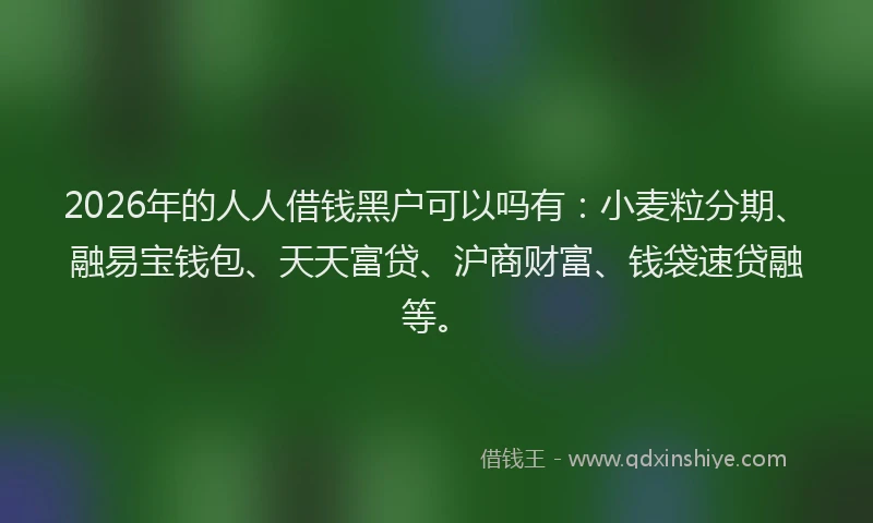 2026年的人人借钱黑户可以吗有：小麦粒分期、融易宝钱包、天天富贷、沪商财富、钱袋速贷融等。