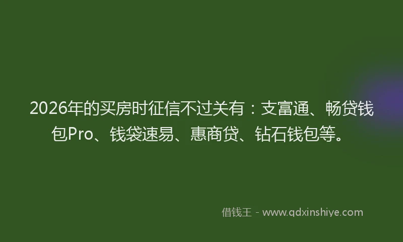 2026年的买房时征信不过关有：支富通、畅贷钱包Pro、钱袋速易、惠商贷、钻石钱包等。