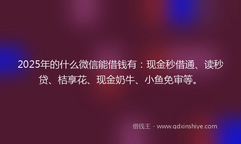 2025年的什么微信能借钱有:现金秒借通、读秒贷、桔享花、现金奶牛、小鱼免审等。
