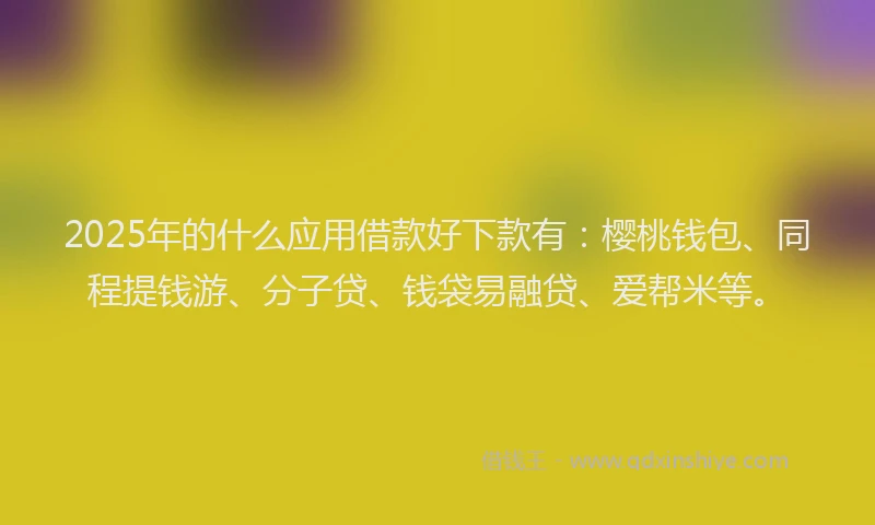 2025年的什么应用借款好下款有：樱桃钱包、同程提钱游、分子贷、钱袋易融贷、爱帮米等。