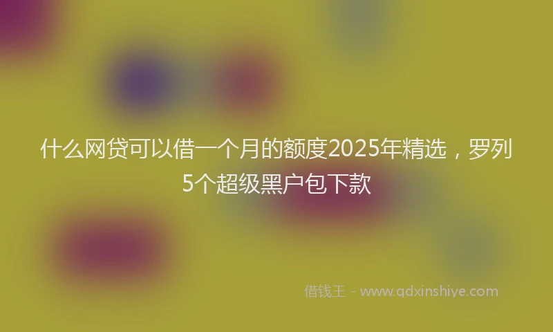 什么网贷可以借一个月的额度2025年精选,罗列5个超级黑户包下款