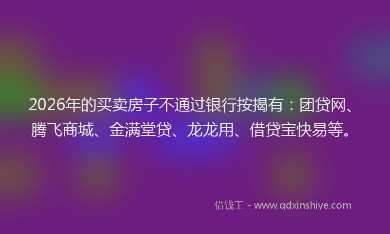 2026年的买卖房子不通过银行按揭有：团贷网、腾飞商城、金满堂贷、龙龙用、借贷宝快易等。