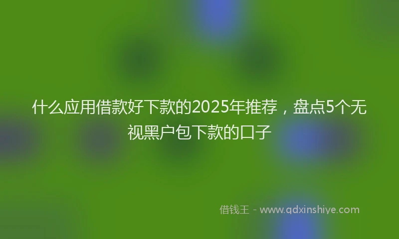 什么应用借款好下款的2025年推荐，盘点5个无视黑户包下款的口子