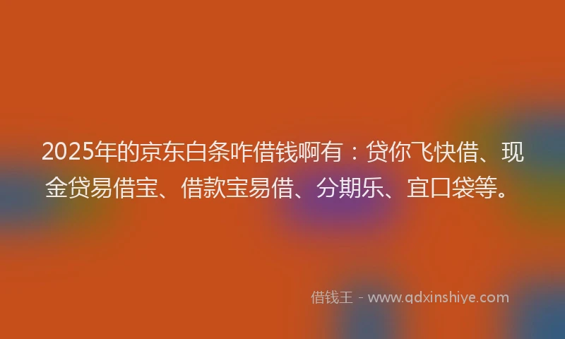 2025年的京东白条咋借钱啊有：贷你飞快借、现金贷易借宝、借款宝易借、分期乐、宜口袋等。