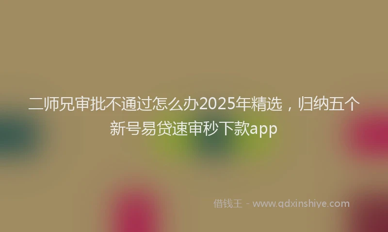 二师兄审批不通过怎么办2025年精选,归纳五个新号易贷速审秒下款app