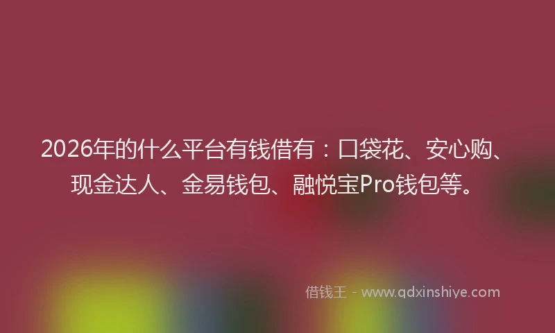 2026年的什么平台有钱借有:口袋花、安心购、现金达人、金易钱包、融悦宝Pro钱包等。