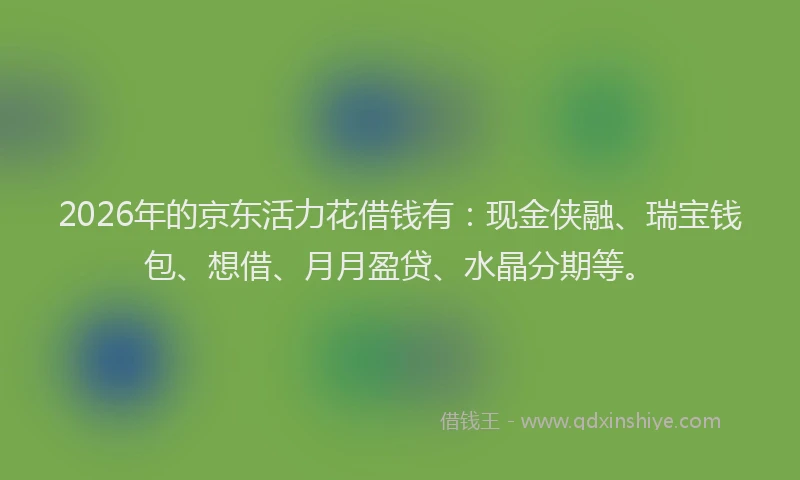 2026年的京东活力花借钱有：现金侠融、瑞宝钱包、想借、月月盈贷、水晶分期等。