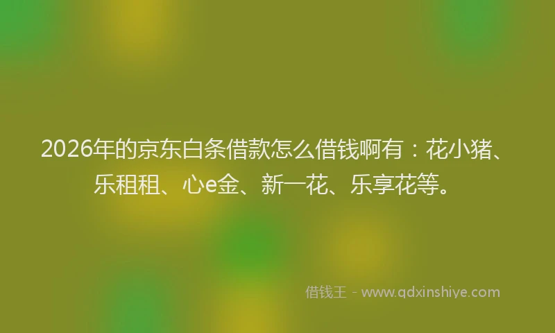 2026年的京东白条借款怎么借钱啊有:花小猪、乐租租、心e金、新一花、乐享花等。