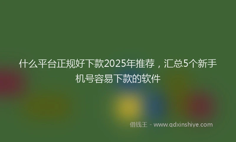 什么平台正规好下款2025年推荐，汇总5个新手机号容易下款的软件