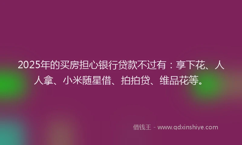 2025年的买房担心银行贷款不过有：享下花、人人拿、小米随星借、拍拍贷、维品花等。