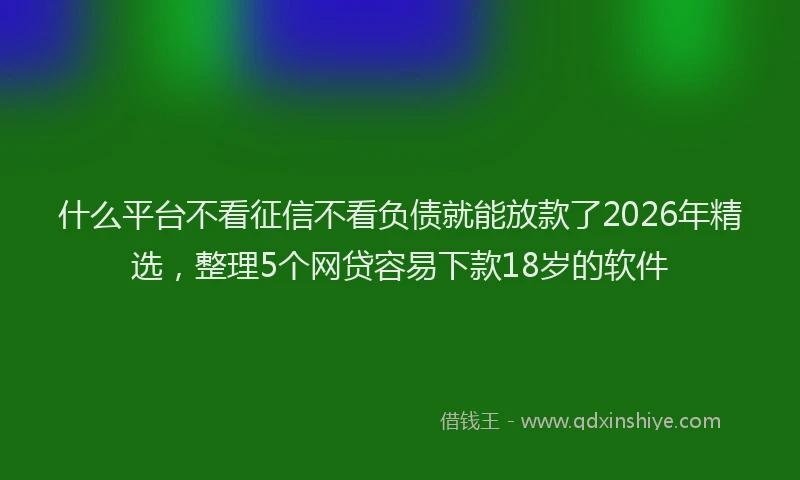 什么平台不看征信不看负债就能放款了2026年精选，整理5个网贷容易下款18岁的软件