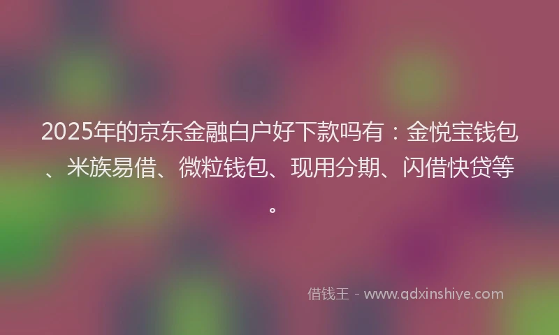 2025年的京东金融白户好下款吗有:金悦宝钱包、米族易借、微粒钱包、现用分期、闪借快贷等。