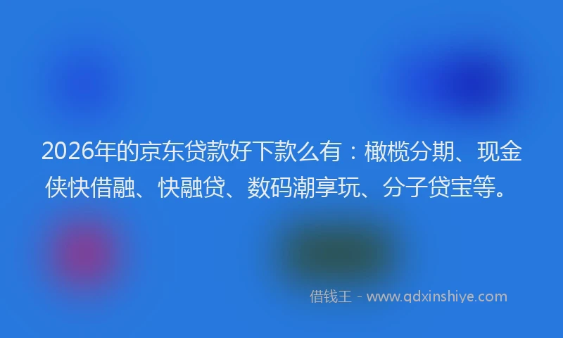 2026年的京东贷款好下款么有:橄榄分期、现金侠快借融、快融贷、数码潮享玩、分子贷宝等。
