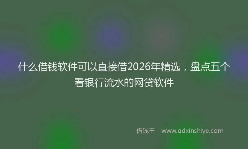 什么借钱软件可以直接借2026年精选，盘点五个看银行流水的网贷软件