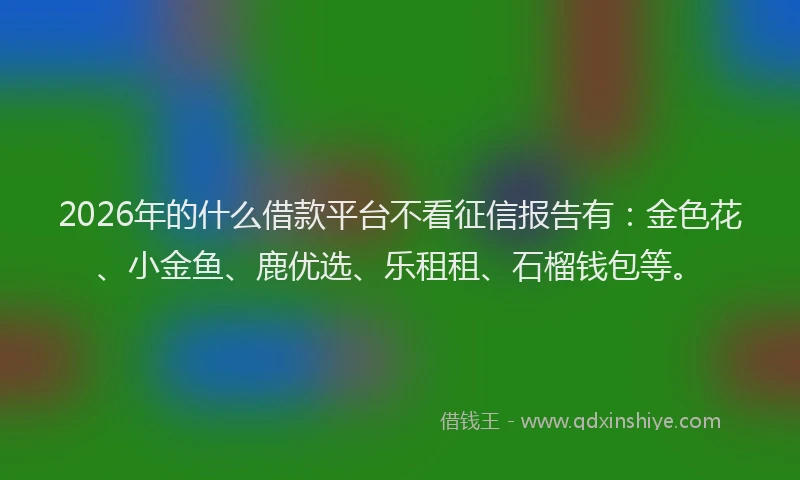 2026年的什么借款平台不看征信报告有：金色花、小金鱼、鹿优选、乐租租、石榴钱包等。