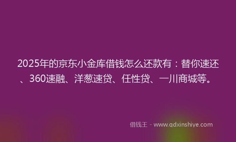 2025年的京东小金库借钱怎么还款有:替你速还、360速融、洋葱速贷、任性贷、一川商城等。