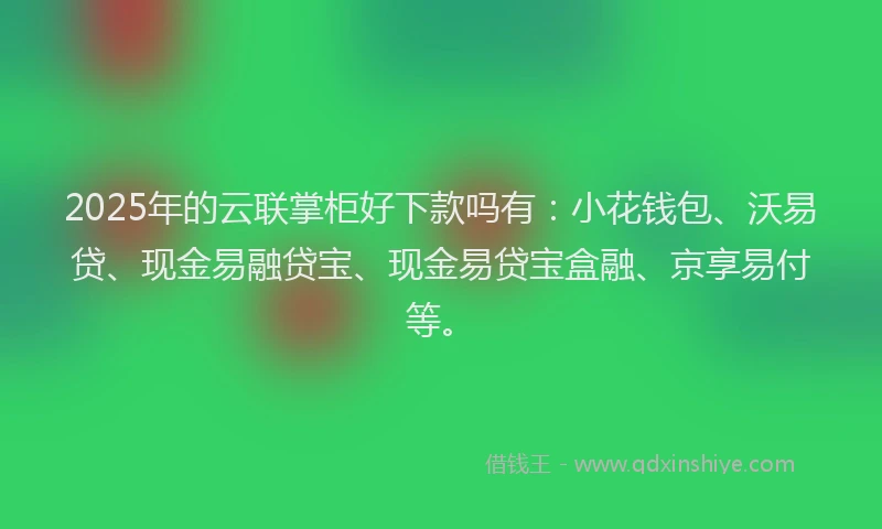 2025年的云联掌柜好下款吗有：小花钱包、沃易贷、现金易融贷宝、现金易贷宝盒融、京享易付等。