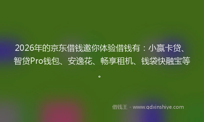 2026年的京东借钱邀你体验借钱有：小赢卡贷、智贷Pro钱包、安逸花、畅享租机、钱袋快融宝等。