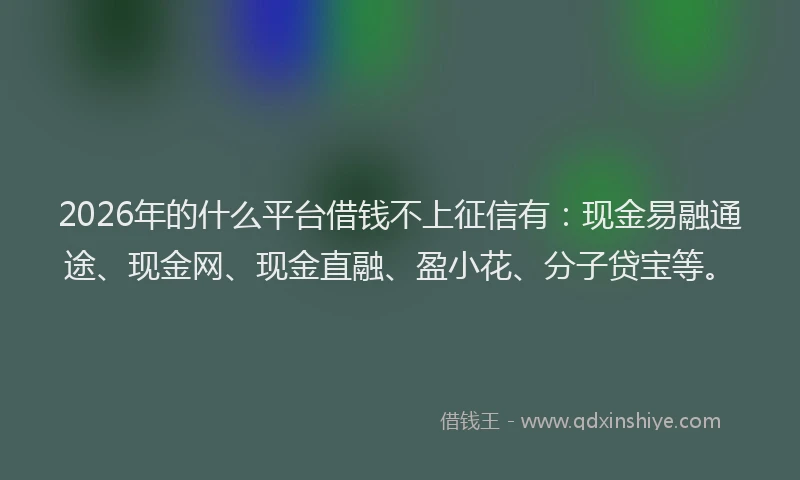 2026年的什么平台借钱不上征信有:现金易融通途、现金网、现金直融、盈小花、分子贷宝等。