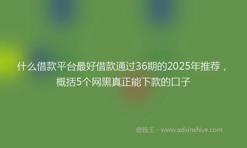 什么借款平台最好借款通过36期的2025年推荐，概括5个网黑真正能下款的口子