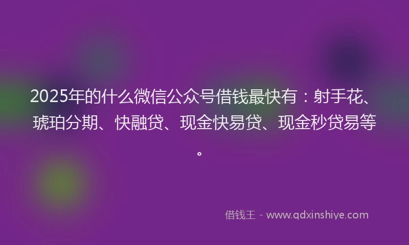 2025年的什么微信公众号借钱最快有：射手花、琥珀分期、快融贷、现金快易贷、现金秒贷易等。