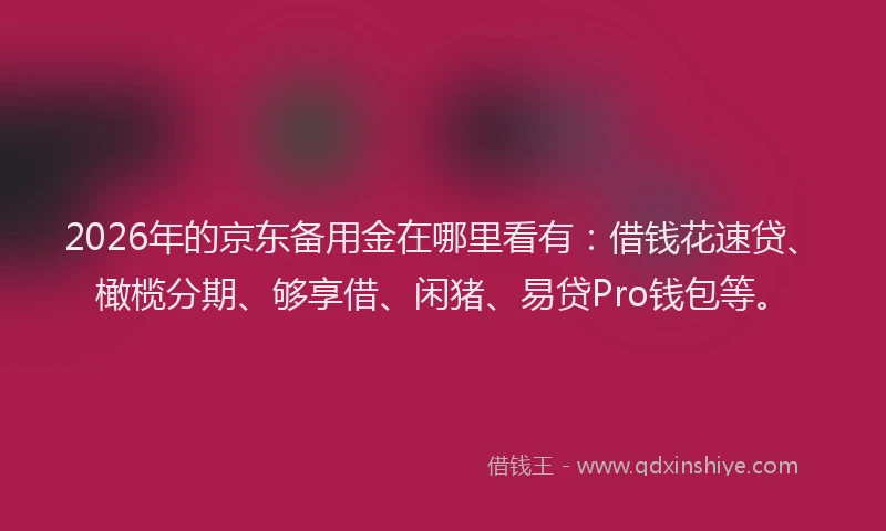 2026年的京东备用金在哪里看有：借钱花速贷、橄榄分期、够享借、闲猪、易贷Pro钱包等。