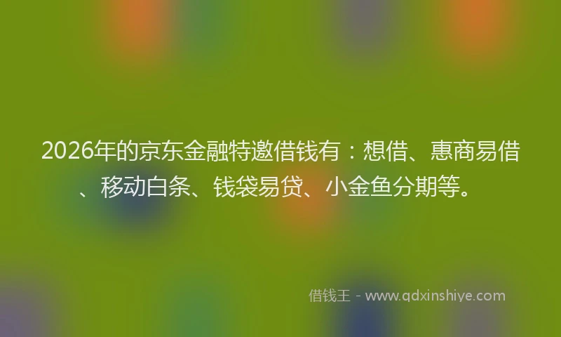 2026年的京东金融特邀借钱有：想借、惠商易借、移动白条、钱袋易贷、小金鱼分期等。