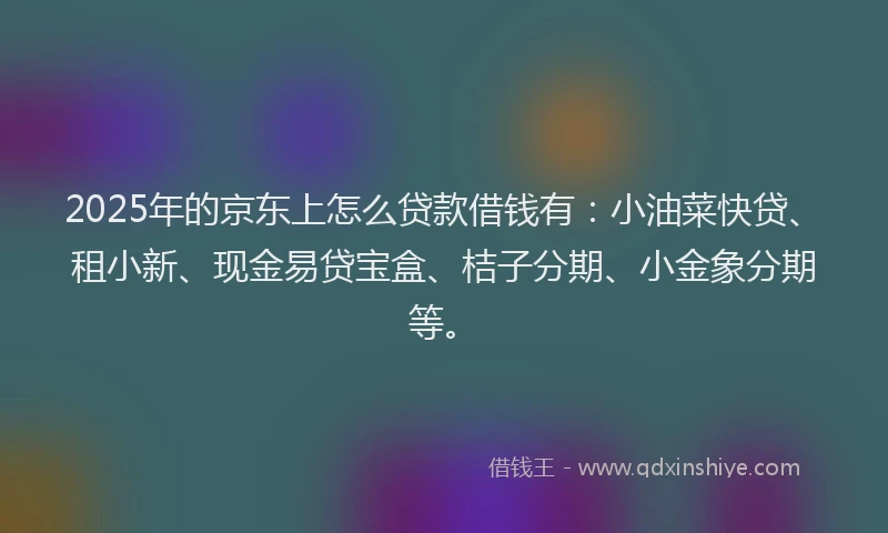 2025年的京东上怎么贷款借钱有：小油菜快贷、租小新、现金易贷宝盒、桔子分期、小金象分期等。