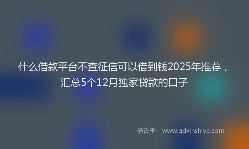 什么借款平台不查征信可以借到钱2025年推荐,汇总5个12月独家贷款的口子