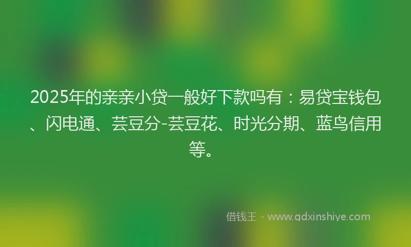 2025年的亲亲小贷一般好下款吗有:易贷宝钱包、闪电通、芸豆分-芸豆花、时光分期、蓝鸟信用等。