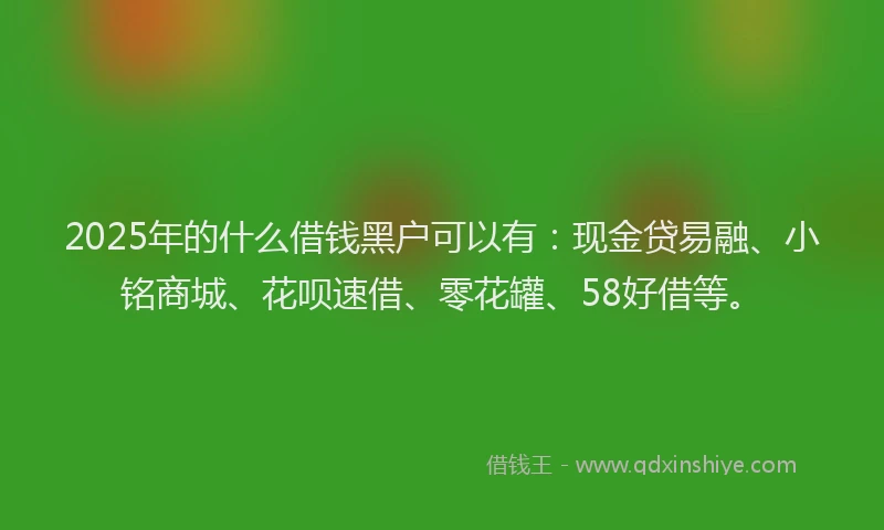 2025年的什么借钱黑户可以有:现金贷易融、小铭商城、花呗速借、零花罐、58好借等。