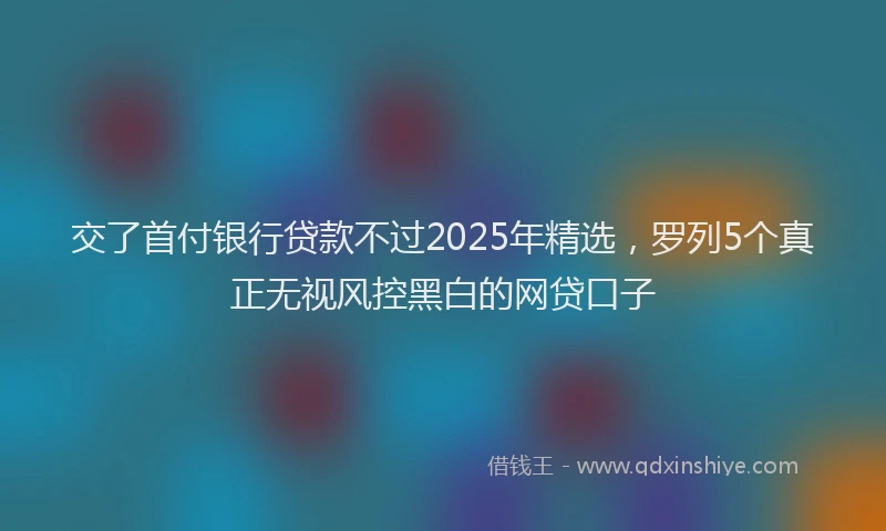 交了首付银行贷款不过2025年精选，罗列5个真正无视风控黑白的网贷口子