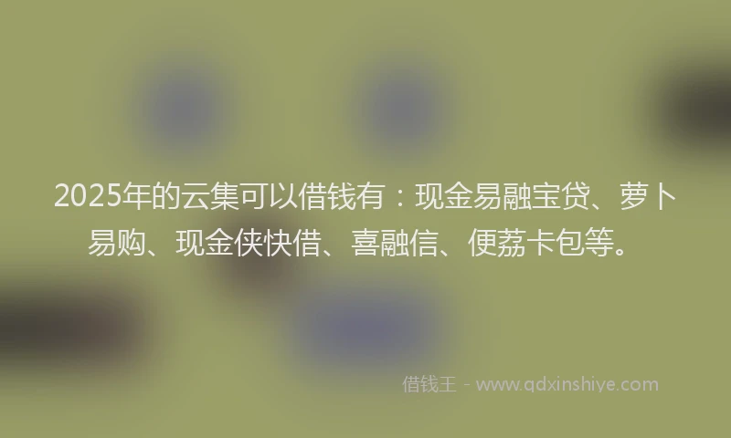 2025年的云集可以借钱有：现金易融宝贷、萝卜易购、现金侠快借、喜融信、便荔卡包等。