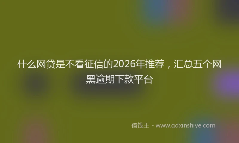 什么网贷是不看征信的2026年推荐，汇总五个网黑逾期下款平台