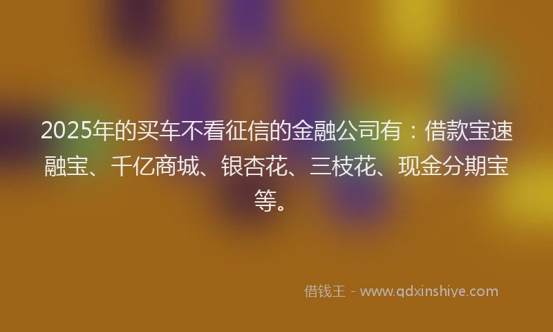 2025年的买车不看征信的金融公司有：借款宝速融宝、千亿商城、银杏花、三枝花、现金分期宝等。