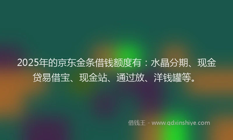 2025年的京东金条借钱额度有：水晶分期、现金贷易借宝、现金站、通过放、洋钱罐等。