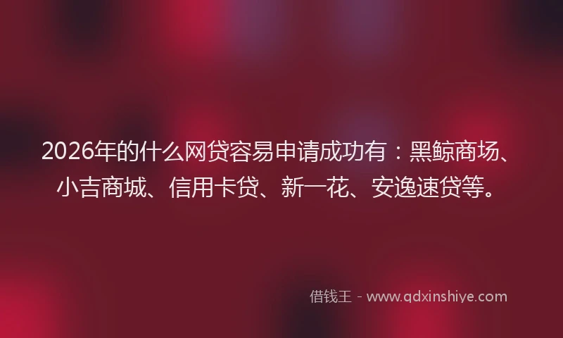 2026年的什么网贷容易申请成功有:黑鲸商场、小吉商城、信用卡贷、新一花、安逸速贷等。