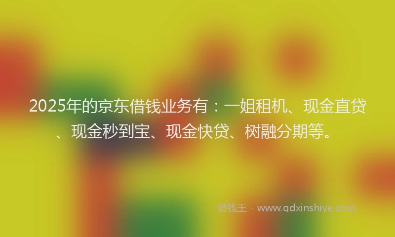 2025年的京东借钱业务有:一姐租机、现金直贷、现金秒到宝、现金快贷、树融分期等。