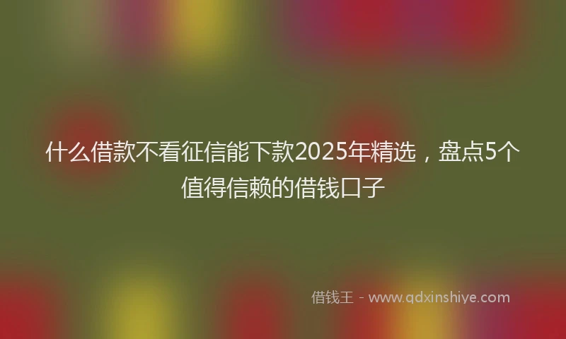 什么借款不看征信能下款2025年精选，盘点5个值得信赖的借钱口子
