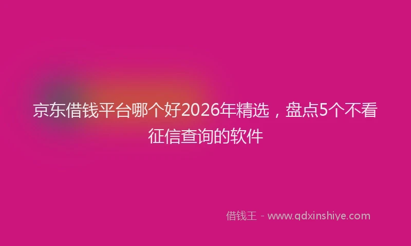 京东借钱平台哪个好2026年精选，盘点5个不看征信查询的软件