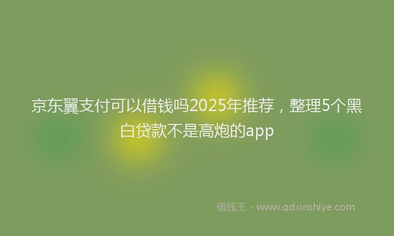 京东翼支付可以借钱吗2025年推荐，整理5个黑白贷款不是高炮的app