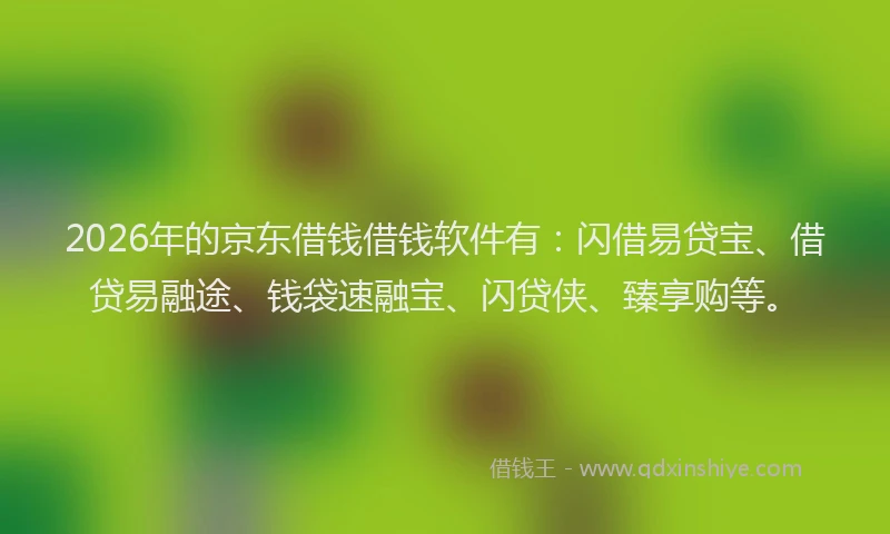 2026年的京东借钱借钱软件有：闪借易贷宝、借贷易融途、钱袋速融宝、闪贷侠、臻享购等。