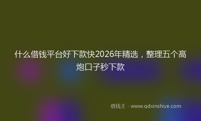 什么借钱平台好下款快2026年精选，整理五个高炮口子秒下款