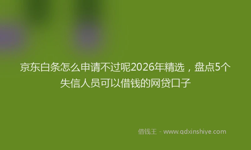 京东白条怎么申请不过呢2026年精选，盘点5个失信人员可以借钱的网贷口子