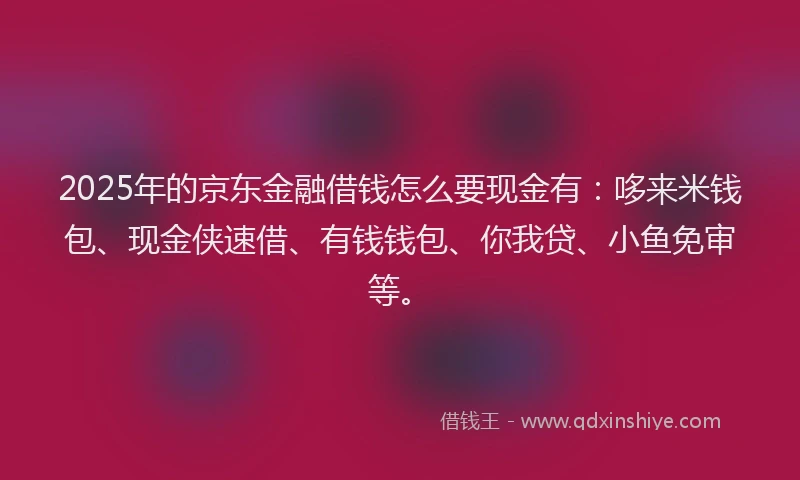 2025年的京东金融借钱怎么要现金有:哆来米钱包、现金侠速借、有钱钱包、你我贷、小鱼免审等。