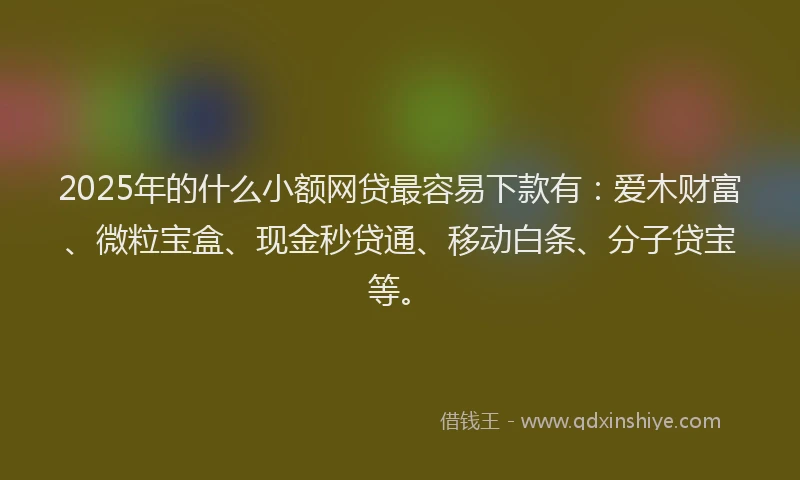 2025年的什么小额网贷最容易下款有：爱木财富、微粒宝盒、现金秒贷通、移动白条、分子贷宝等。
